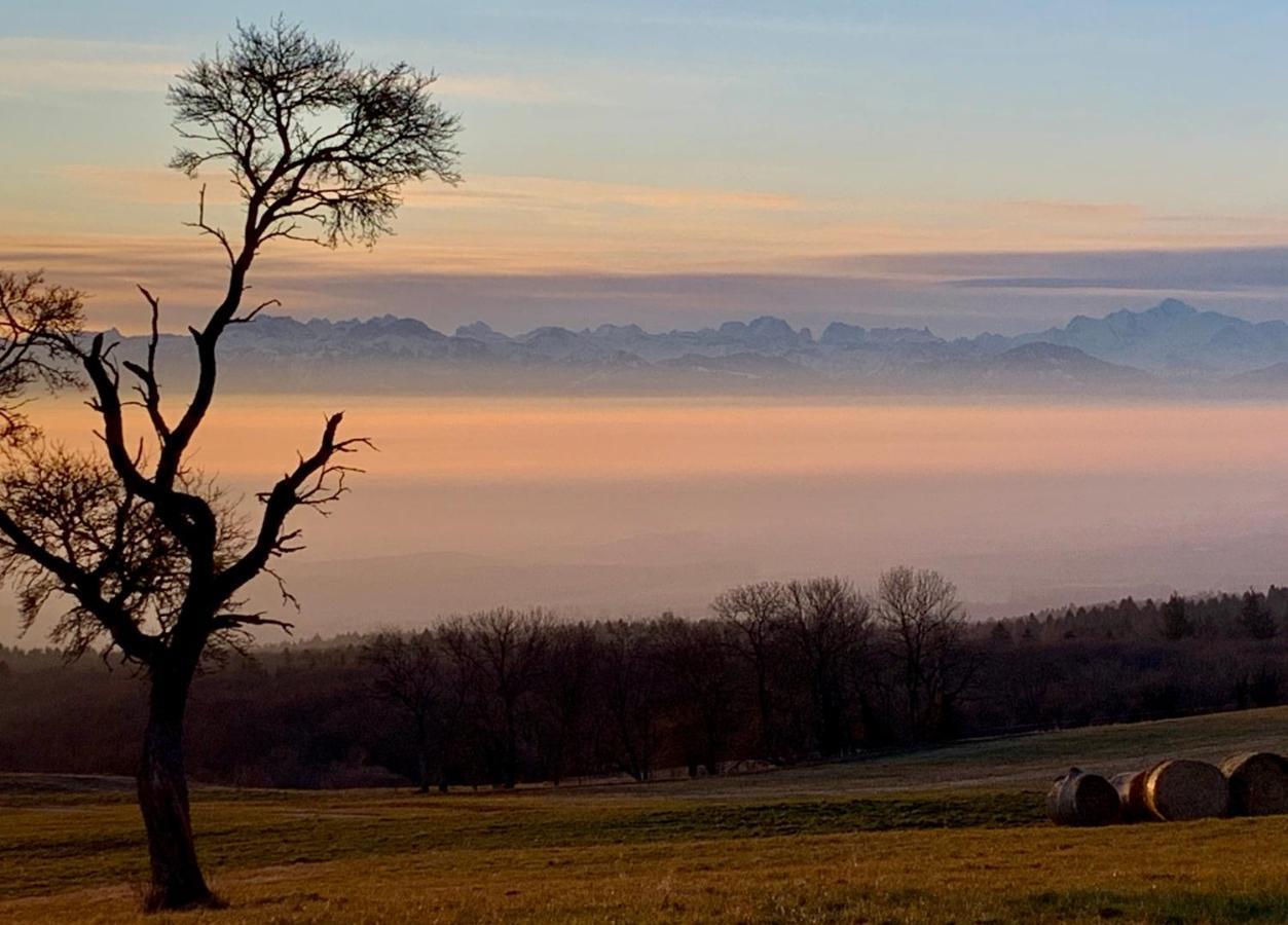 La Ferme De La Praz B&B Exteriör bild